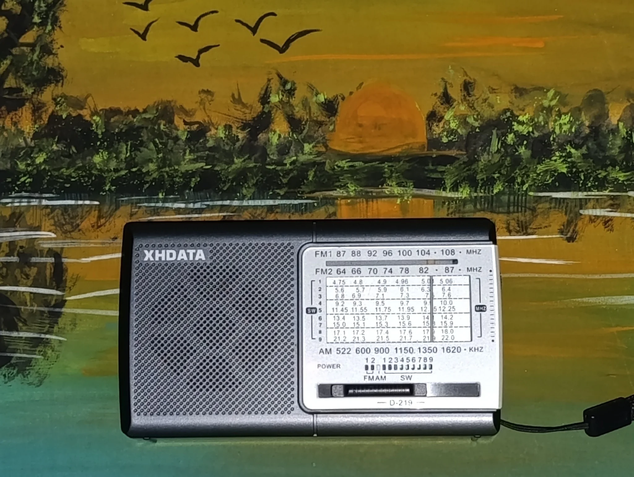 XHDATA D-219 Portable FM / AM / SW Radio – High Sensitivity Shortwave Receiver (Gray Colour) - Image 39