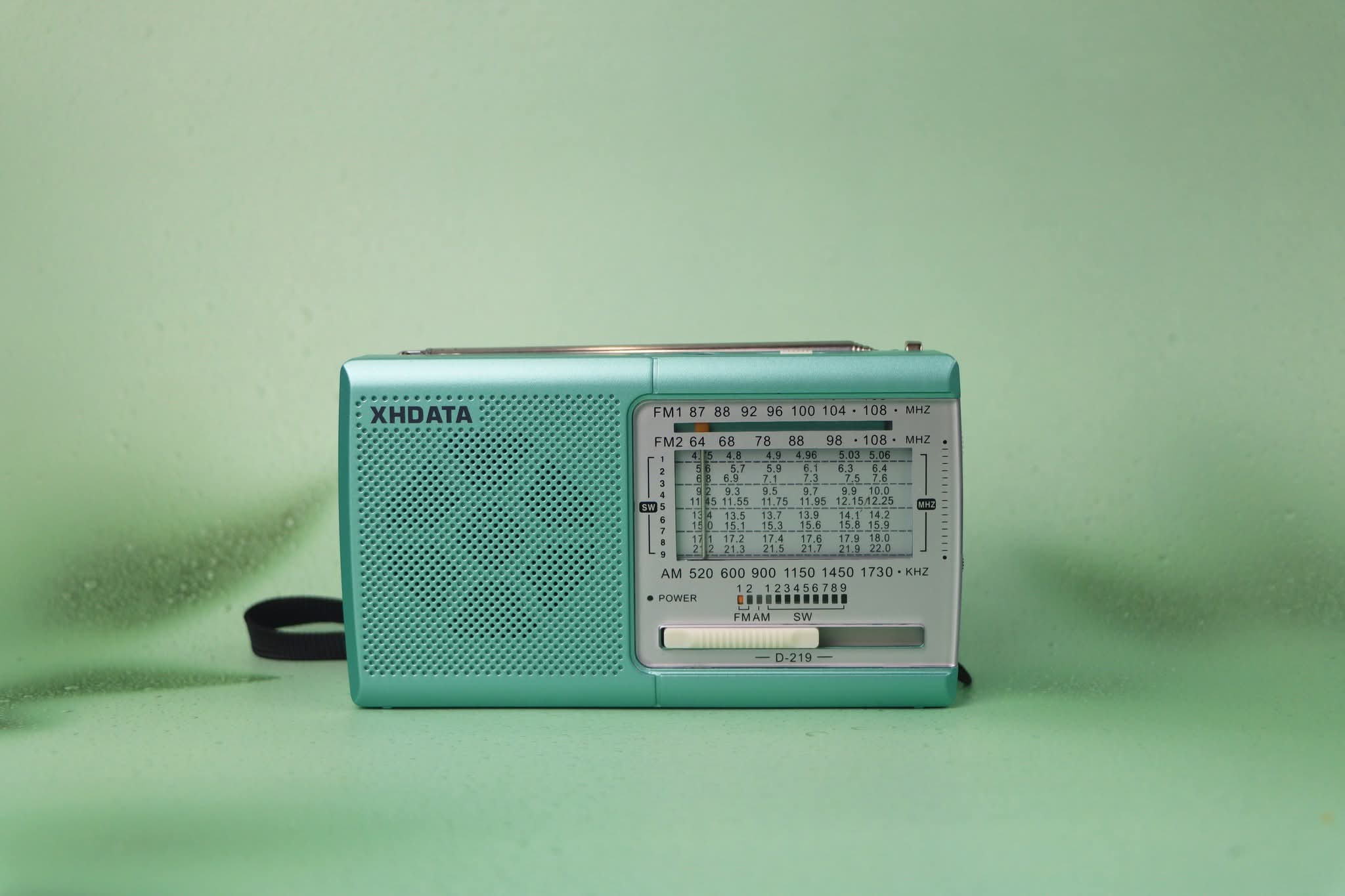 XHDATA D-219 Portable FM / AM / SW Radio – High Sensitivity Shortwave Receiver (New Version-1K, Green Colour) - Image 18