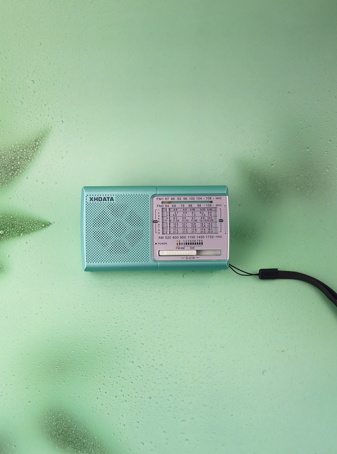 XHDATA D-219 Portable FM / AM / SW Radio – High Sensitivity Shortwave Receiver (New Version-1K, Green Colour) - Image 19